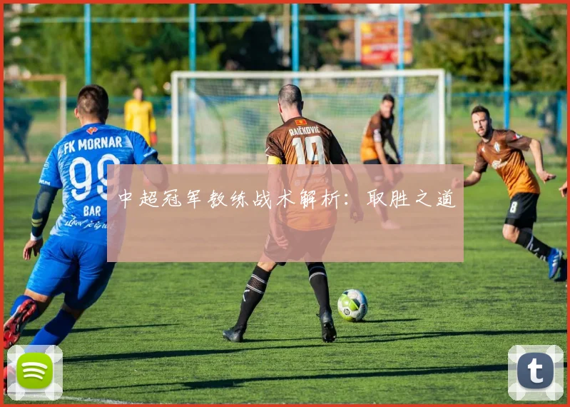 中超冠军教练战术解析：取胜之道