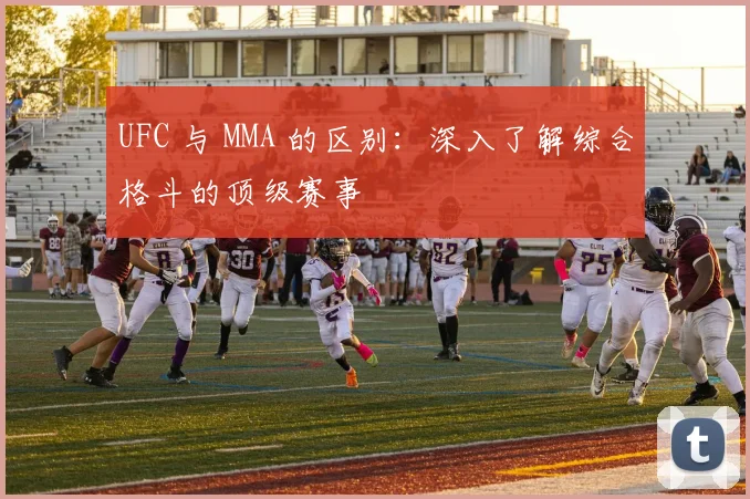 UFC 与 MMA 的区别：深入了解综合格斗的顶级赛事